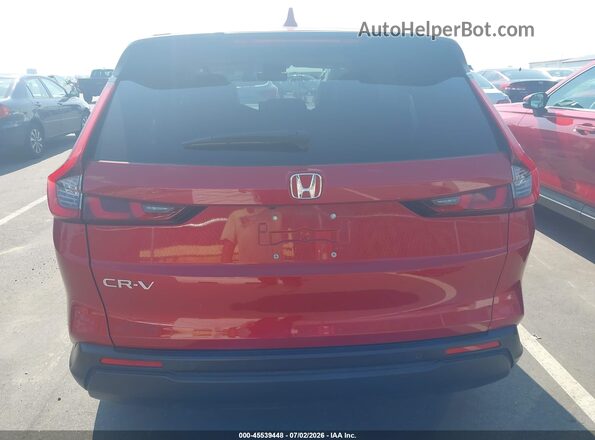 2HKRS3H76RH313235 2024 HONDA CR-V Красный 