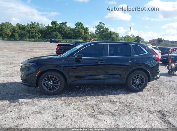 2HKRS3H78TH331419 2026 HONDA CR-V Черный Панорамный вид салона 360°