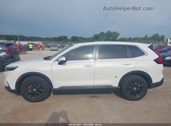2HKRS4H43TH464603 2026 HONDA CR-V Белый Панорамный вид салона 360°