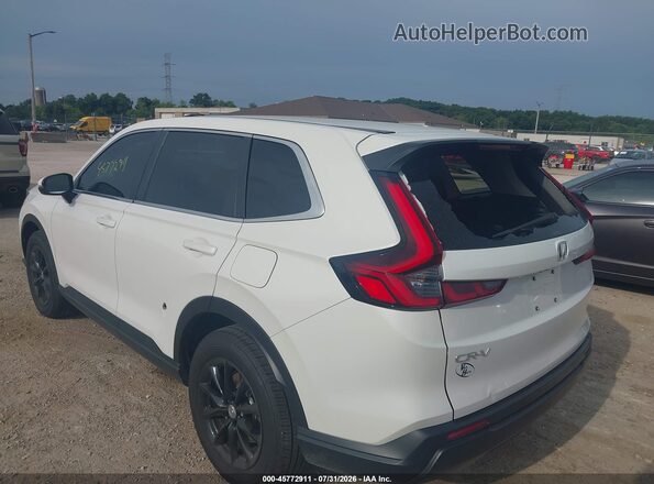 2HKRS4H43TH464603 2026 HONDA CR-V Белый Задняя левая четверть