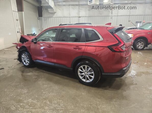 2HKRS4H47TH412729 2026 HONDA CR-V Red Задня ліва чверть