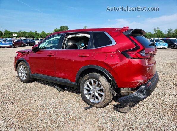 2HKRS4H4XTH404060 2026 HONDA CR-V Красный Задняя левая четверть
