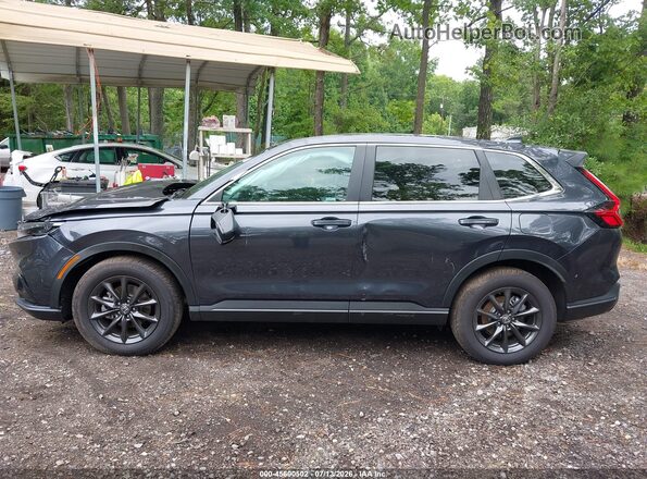 2HKRS4H72TH482830 2026 HONDA CR-V Gray Սալոնի 360 աստիճան տեսք