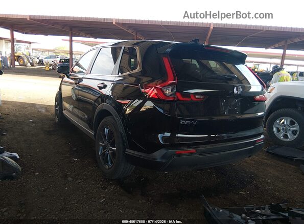 2HKRS4H76TH406012 2026 HONDA CR-V Черный Задняя левая четверть