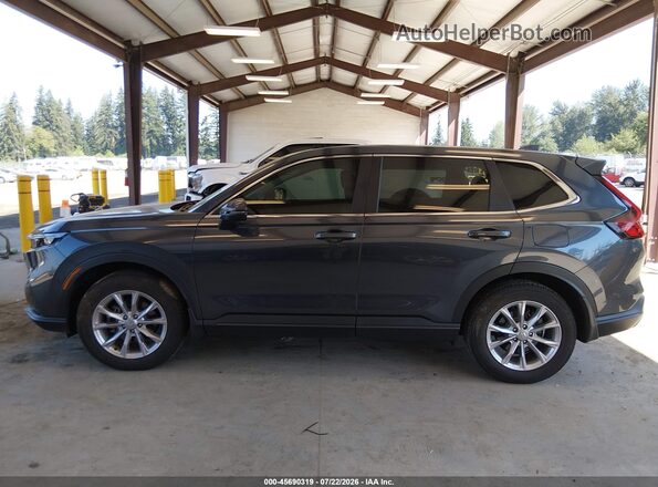 2HKRS4H79RH478976 2024 HONDA CR-V Gray Սալոնի 360 աստիճան տեսք