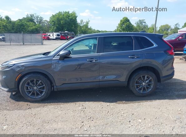 2HKRS4H79TH402293 2026 HONDA CR-V Серый Панорамный вид салона 360°