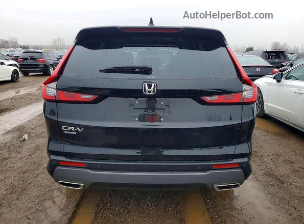 2HKRS6H75RH222491 2024 HONDA CR-V Black Widok z tyłu
