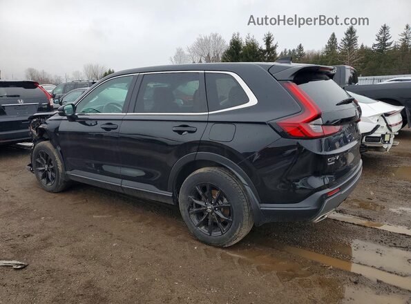 2HKRS6H75RH222491 2024 HONDA CR-V Black Tył lewy