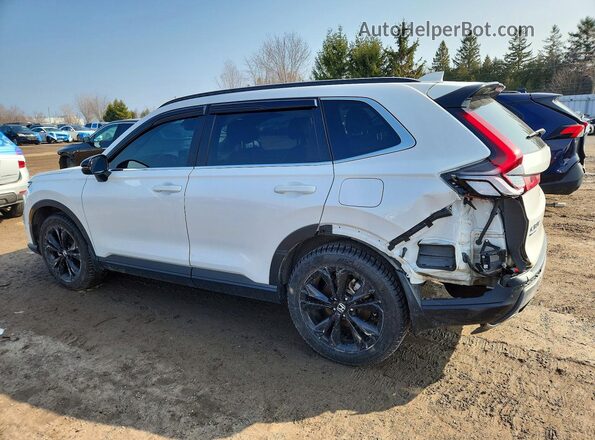 2HKRS6H96PH205035 2023 HONDA CR-V Белый Задняя левая четверть