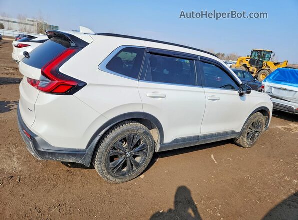 2HKRS6H96PH205035 2023 HONDA CR-V Белый Задняя правая четверть