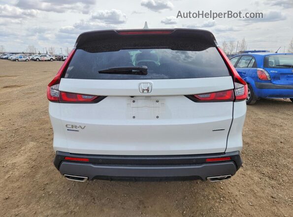 2HKRS6H97TH213848 2026 HONDA CR-V White Widok z tyłu
