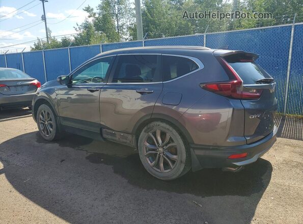 2HKRW2H46LH215656 2020 HONDA CR-V Gray უკანა მარცხენა