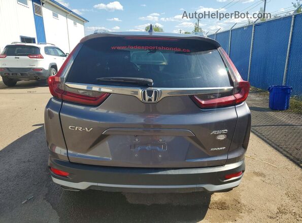 2HKRW2H46LH215656 2020 HONDA CR-V Gray უკანა ხედი