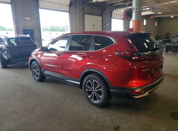 2HKRW2H55LH634820 2020 HONDA CR-V Red Հետևի ձախ