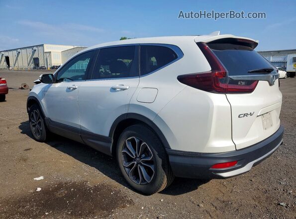 2HKRW2H81LH669672 2020 HONDA CR-V White Задня ліва чверть