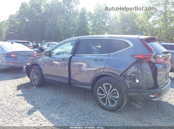 2HKRW2H83MH647657 2021 HONDA CR-V Pewter Սալոնի հետևի տեսք
