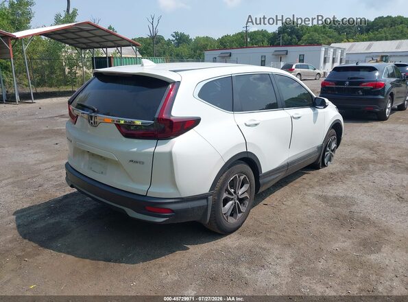 2HKRW2H83NH604521 2022 HONDA CR-V White უკანა მარჯვენა