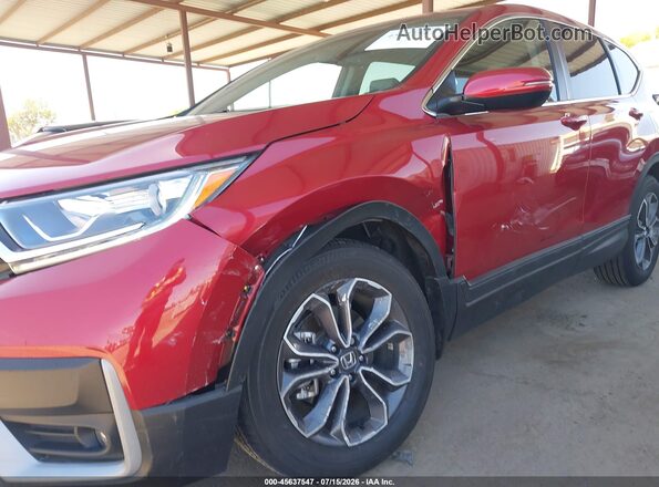2HKRW2H87MH619487 2021 HONDA CR-V Красный Вид спереди