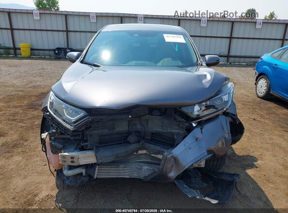 2HKRW2H87MH646124 2021 HONDA CR-V Blue Սալոնի հետևի տեսք