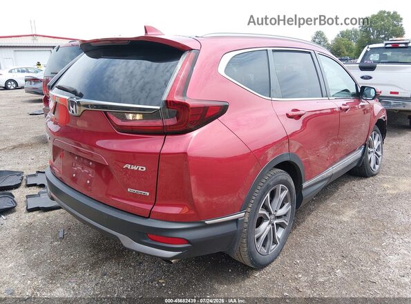 2HKRW2H94LH606087 2020 HONDA CR-V Red Հետևի աջ