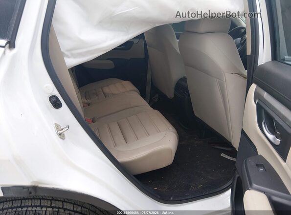 2HKRW6H39KH204549 2019 HONDA CR-V White VIN sticker view