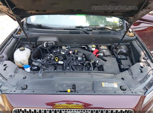 2LMPJ8K95NBL08258 2022 LINCOLN NAUTILUS Burgundy უკანა ხედი