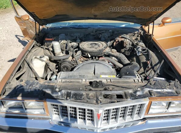 2Q69Y8P120455 1978 PONTIAC BONNEVILLE Gold Սալոնի հետևի տեսք