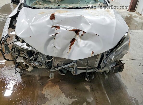2T1BURHE5JC058467 2018 TOYOTA COROLLA Серебряный Вид задней части салона