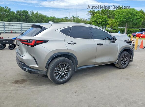 2T2ADCAZ0PC005170 2023 LEXUS NX Gray Trasero derecho