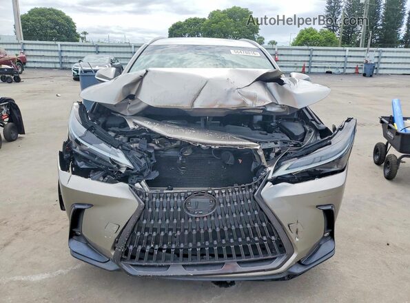 2T2ADCAZ0PC005170 2023 LEXUS NX Gray Vista frontal