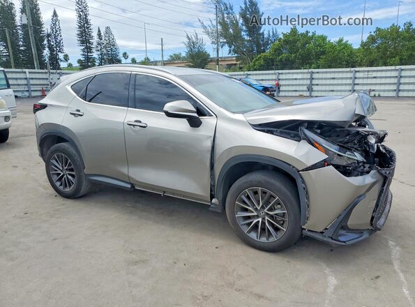 2T2ADCAZ0PC005170 2023 LEXUS NX Gray Delantero derecho
