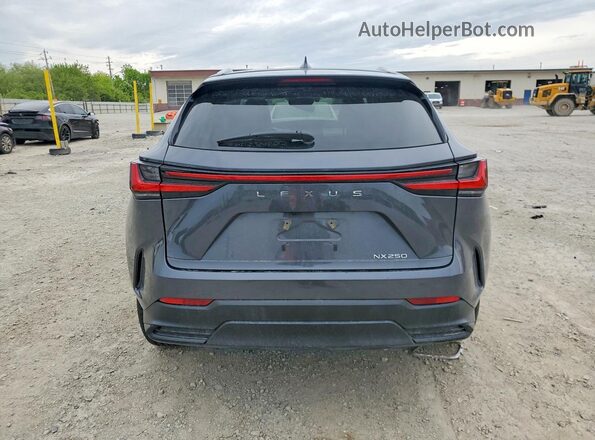 2T2ADCAZ1RC014298 2024 LEXUS NX Gray Widok z tyłu
