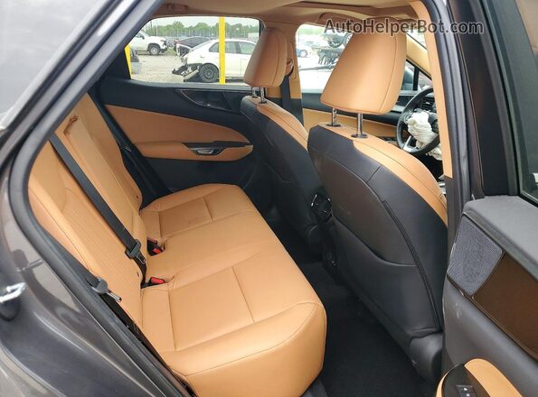 2T2ADCAZ1RC014298 2024 LEXUS NX Gray Widok wnętrza z tyłu