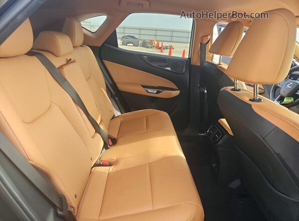 2T2ADCAZ3SC021596 2025 LEXUS NX Green Հետևի նստատեղերի տեսք