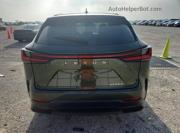 2T2ADCAZ3SC021596 2025 LEXUS NX Green Հետևի տեսք