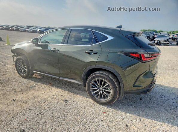 2T2ADCAZ3SC021596 2025 LEXUS NX Green Հետևի ձախ