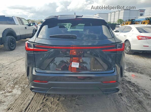 2T2ADCAZ4SC024183 2025 LEXUS NX Black Vista trasera