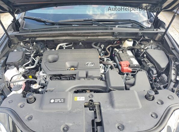 2T2ADCAZ4SC024183 2025 LEXUS NX Black Vista interior trasera