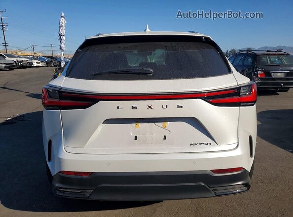 2T2ADCAZ4SC029030 2025 LEXUS NX Белый Вид сзади