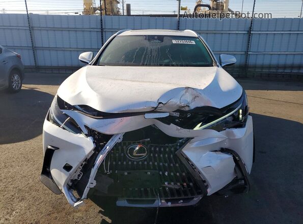 2T2ADCAZ4SC029030 2025 LEXUS NX Белый Вид спереди