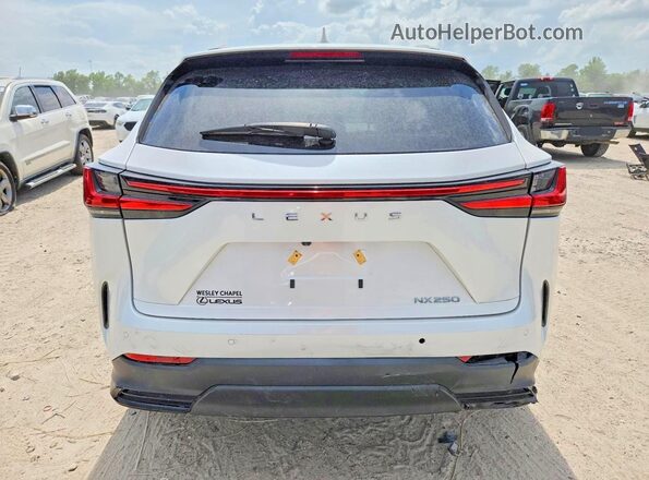 2T2ADCAZ7SC018913 2025 LEXUS NX White Front interior view