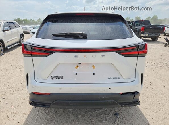 2T2ADCAZ7SC018913 2025 LEXUS NX White Rear view