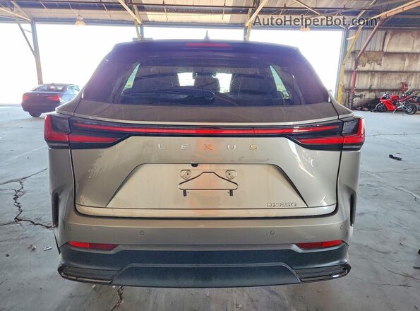 2T2ADCAZXSCO22342 2025 LEXUS NX Tan Widok z tyłu