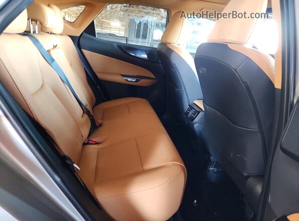 2T2ADCAZXSCO22342 2025 LEXUS NX Tan Widok wnętrza z tyłu