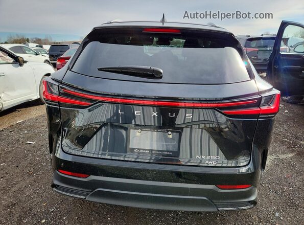 2T2ADCEZ4NC001274 2022 LEXUS NX Black უკანა ხედი