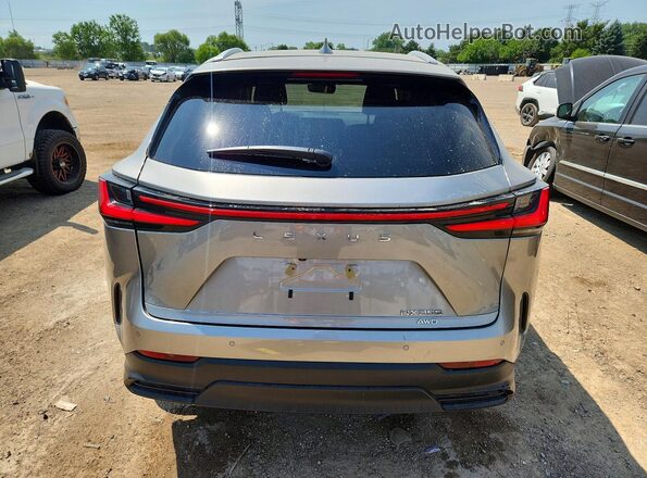 2T2AGCEZ1SC093267 2025 LEXUS NX Gray Widok z tyłu