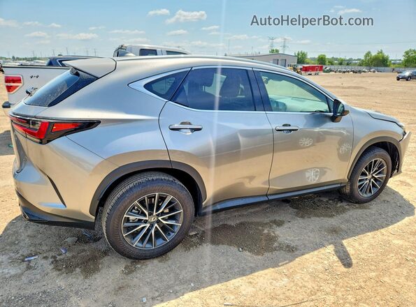 2T2AGCEZ1SC093267 2025 LEXUS NX Gray Tył prawy