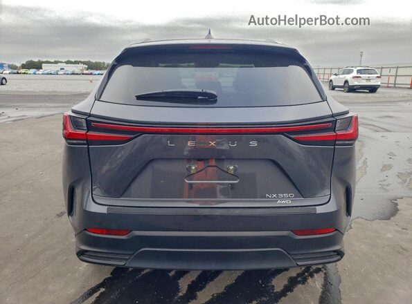 2T2AGCEZ1TC100106 2026 LEXUS NX Gray Вид ззаду