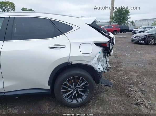 2T2AGCEZ2RC040538 2024 LEXUS NX 350 White Vista frontal