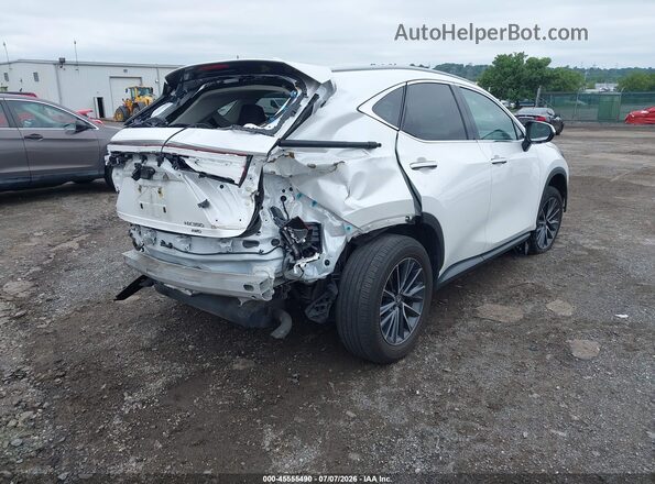 2T2AGCEZ2RC040538 2024 LEXUS NX 350 White Trasero derecho